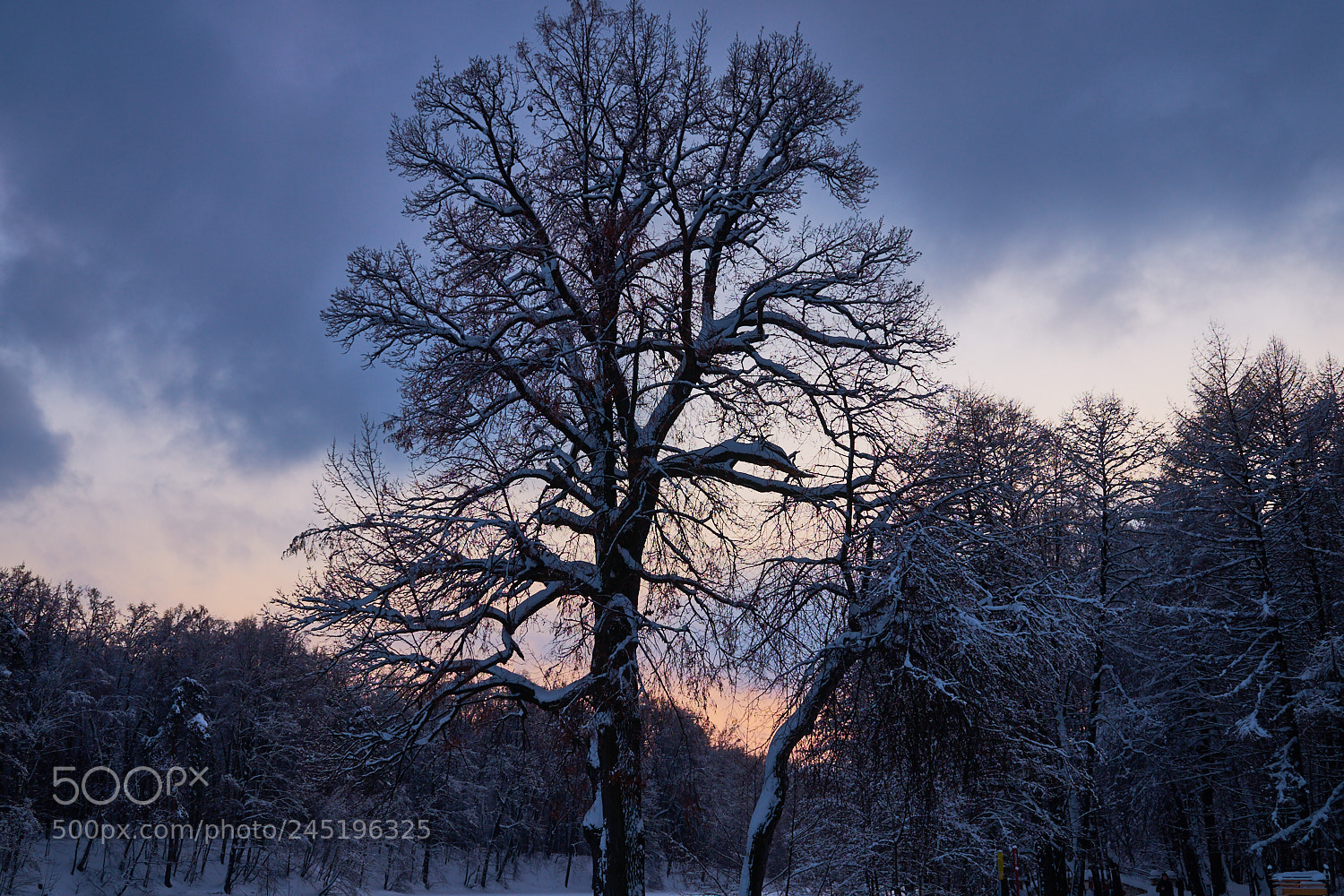 Sony a7 sample photo. Sunset photography