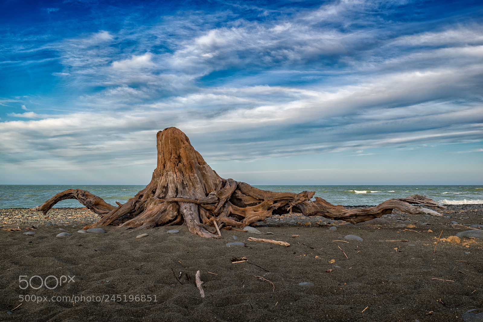 Pentax K-1 sample photo. Timaru driftwood photography