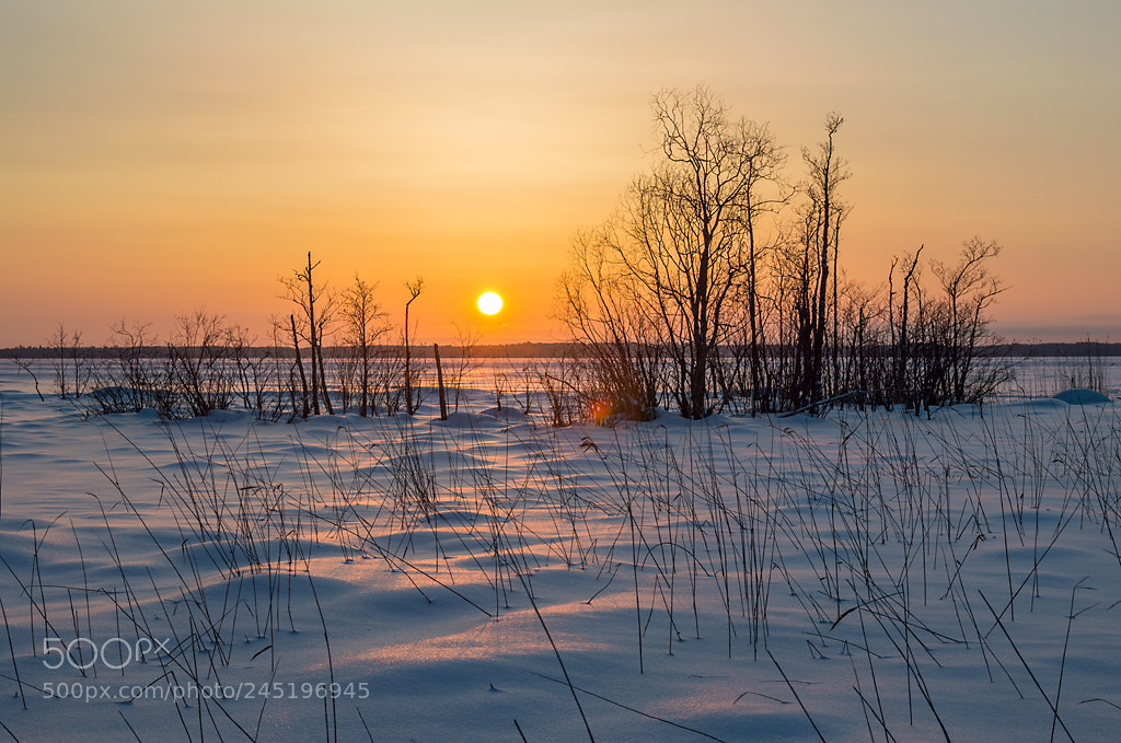 Nikon D3200 sample photo. Frozen lake - finland photography