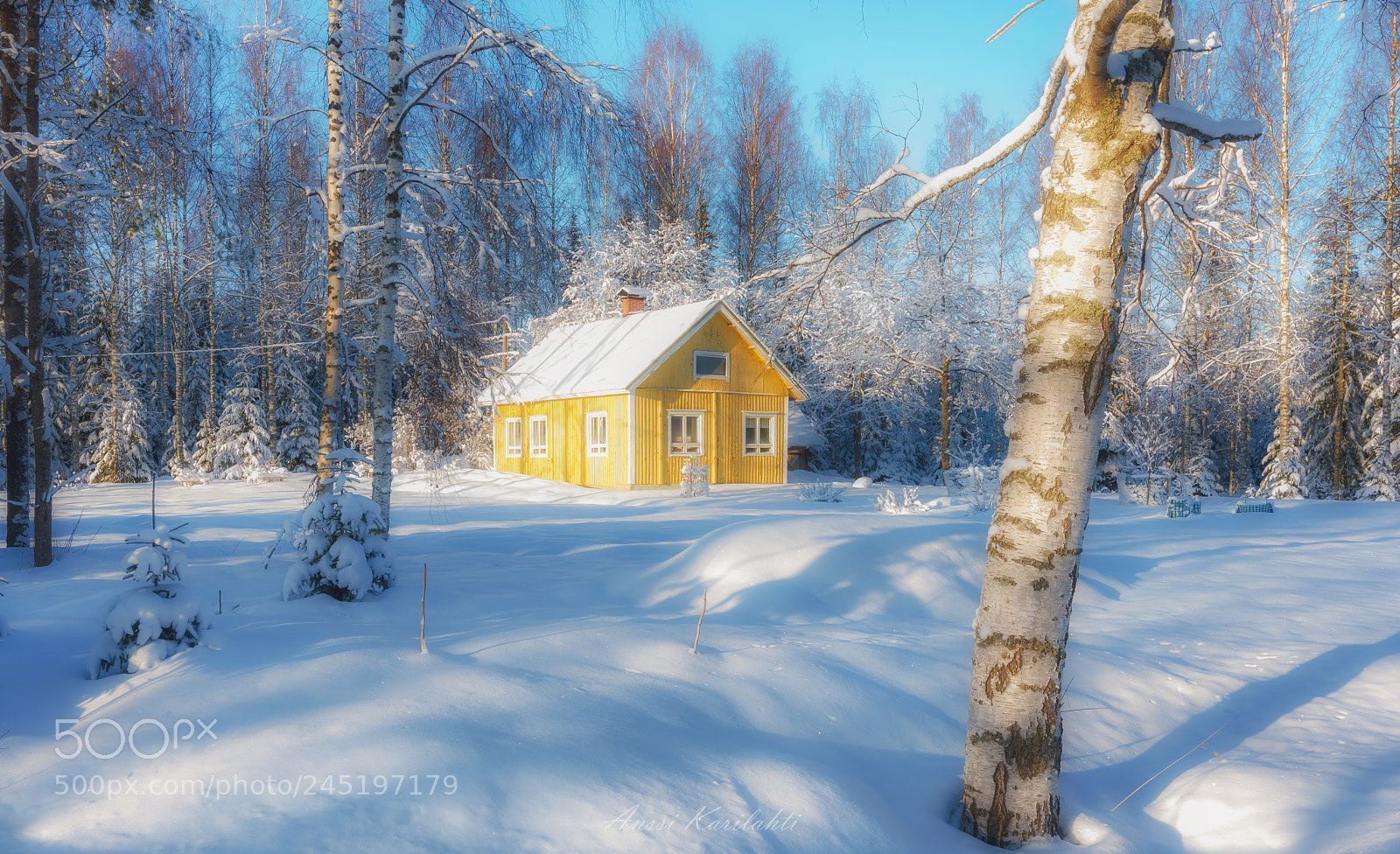 Nikon D600 sample photo. Yellow cabin in new photography