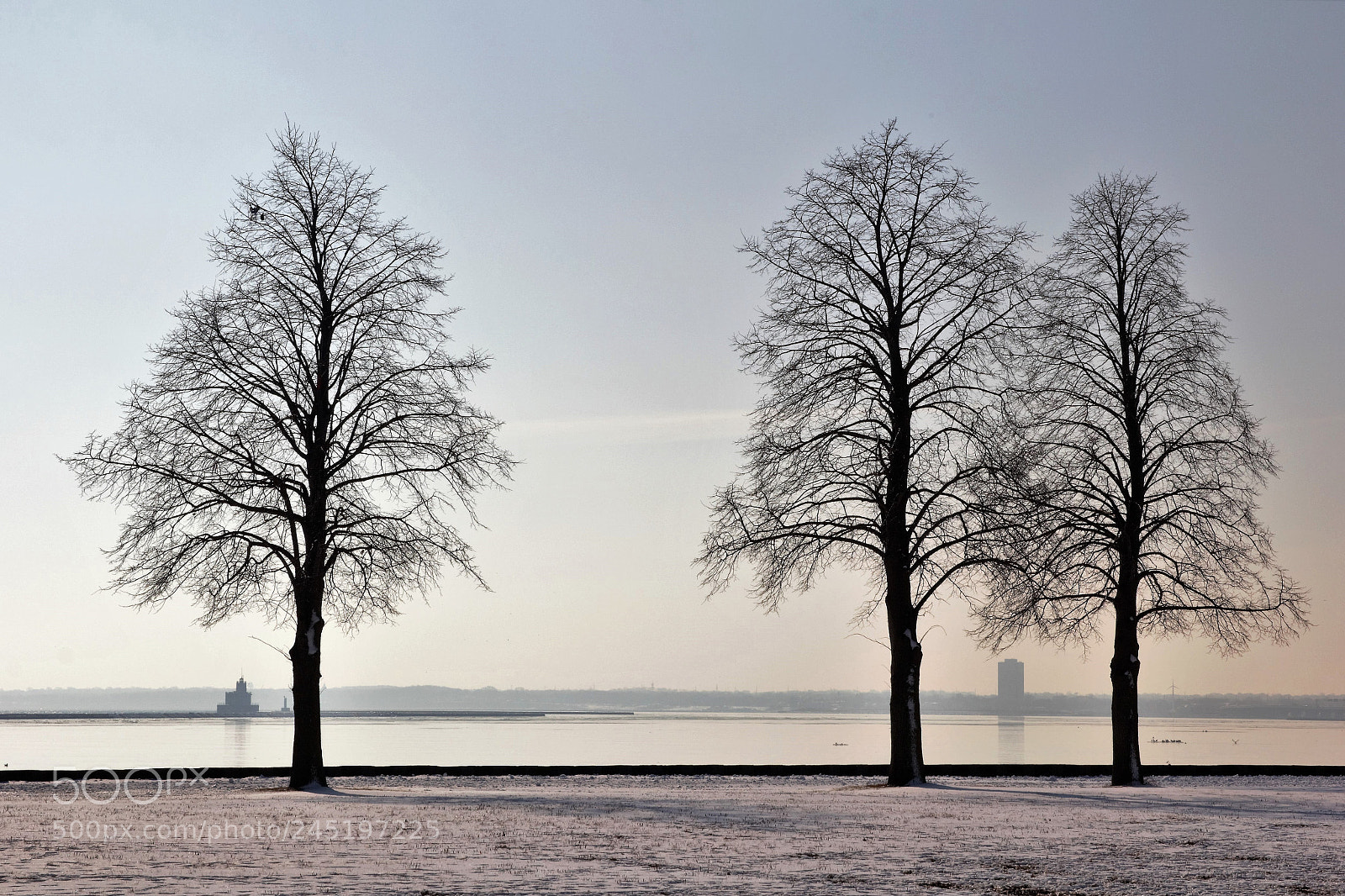 Canon EOS 60D sample photo. Three`s company photography