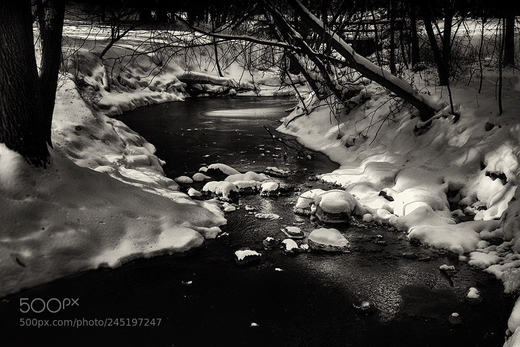 Nikon D300 sample photo. Milne conservation area stream photography