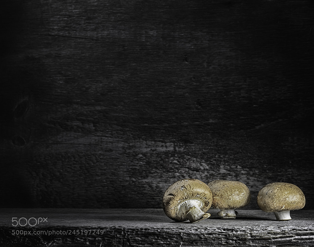 Nikon D800 sample photo. Standing on the corner photography
