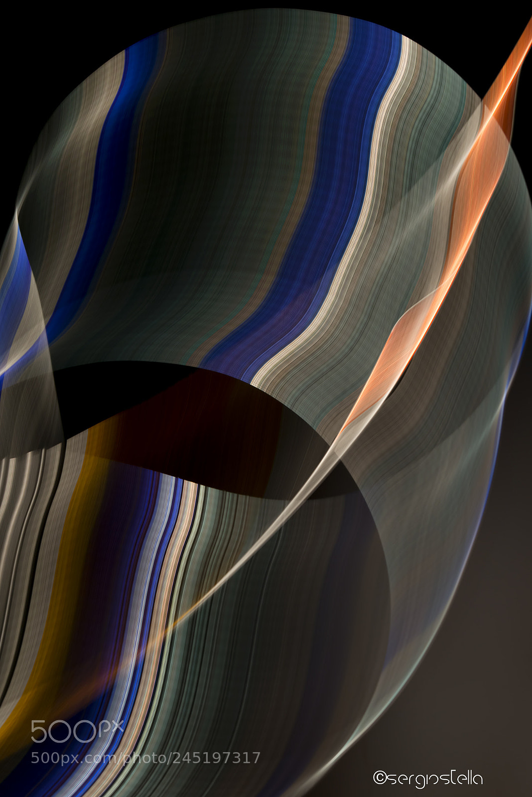 Nikon D610 sample photo. Movement and rhythm____ photography