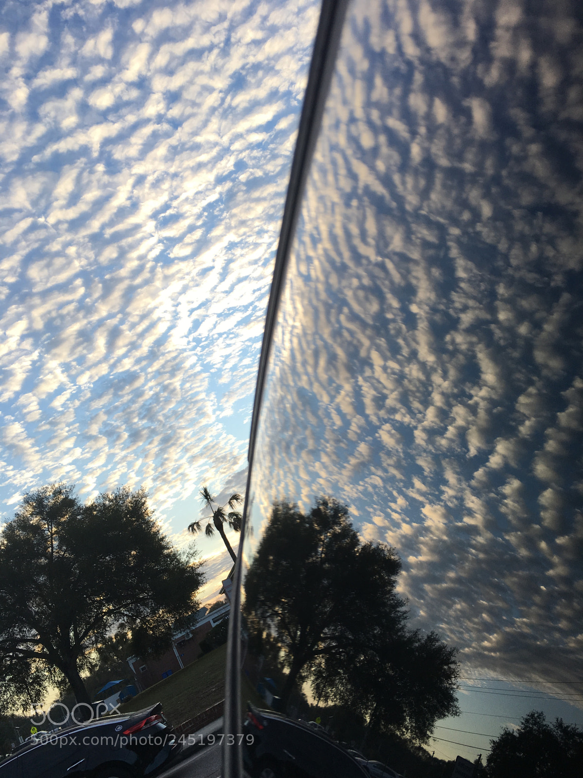 Apple iPhone 6s sample photo. Untitled photography
