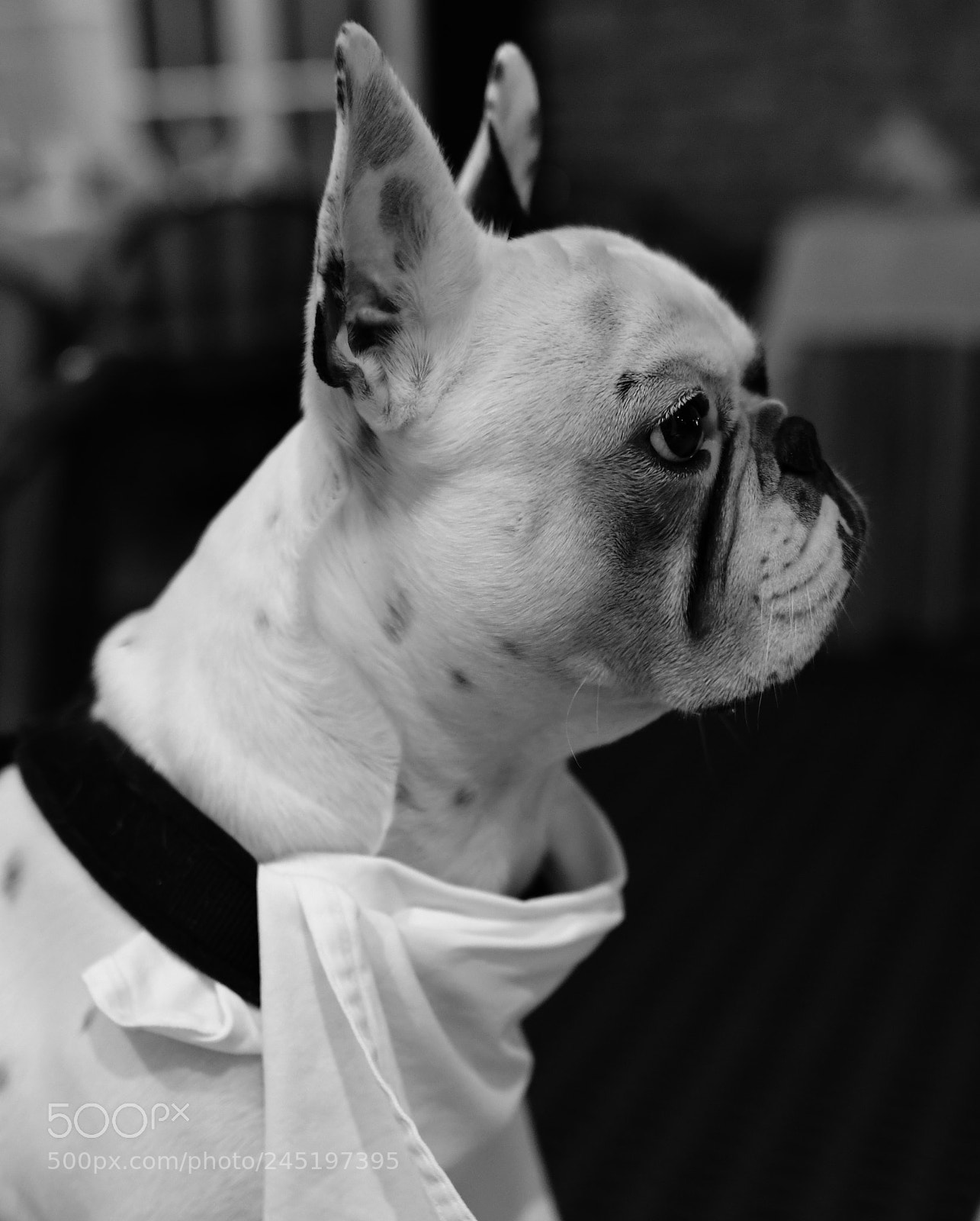 Nikon D7500 sample photo. On mange quoi ce photography