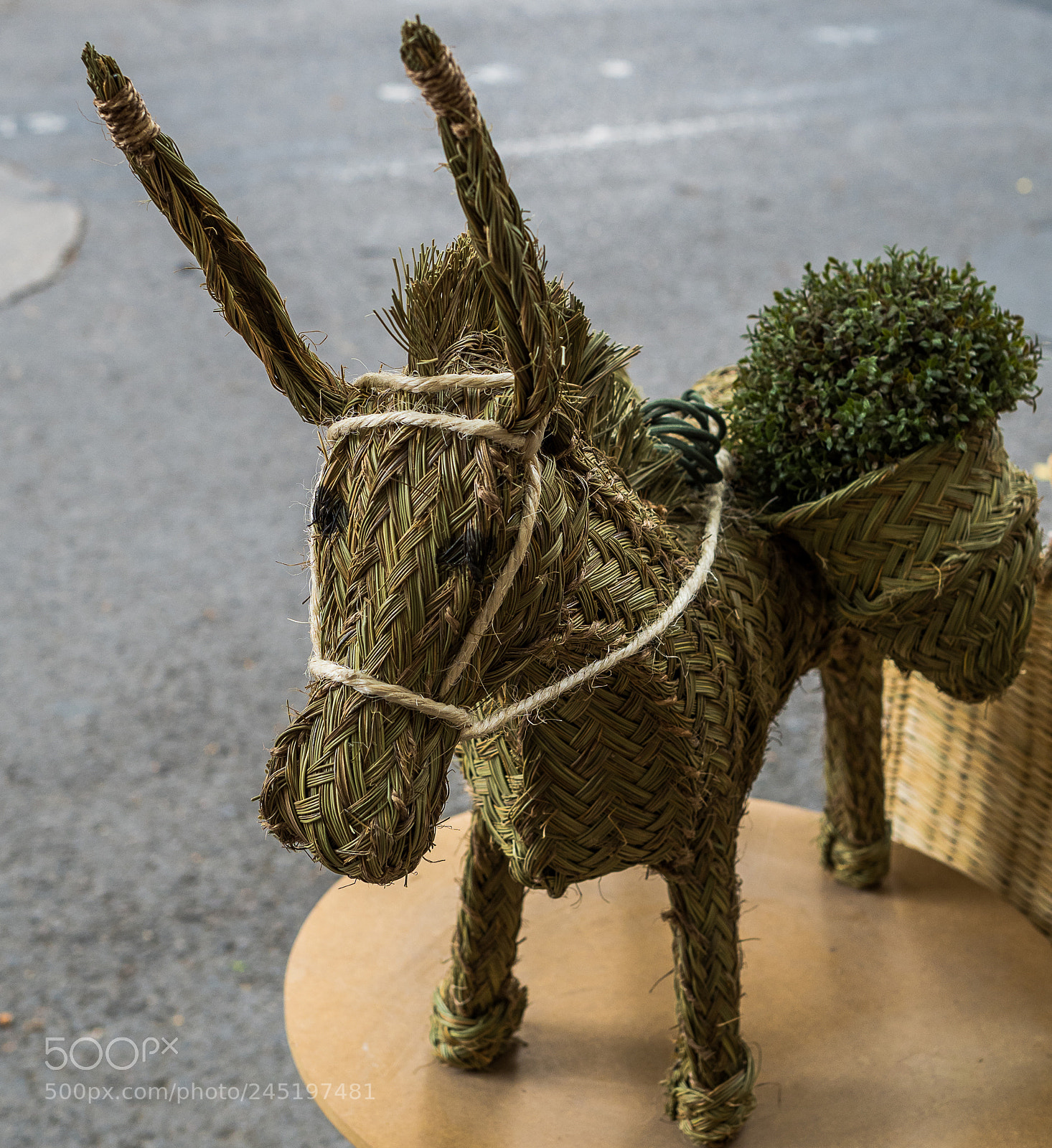 Olympus OM-D E-M1 Mark II sample photo. Olympus digital camera photography