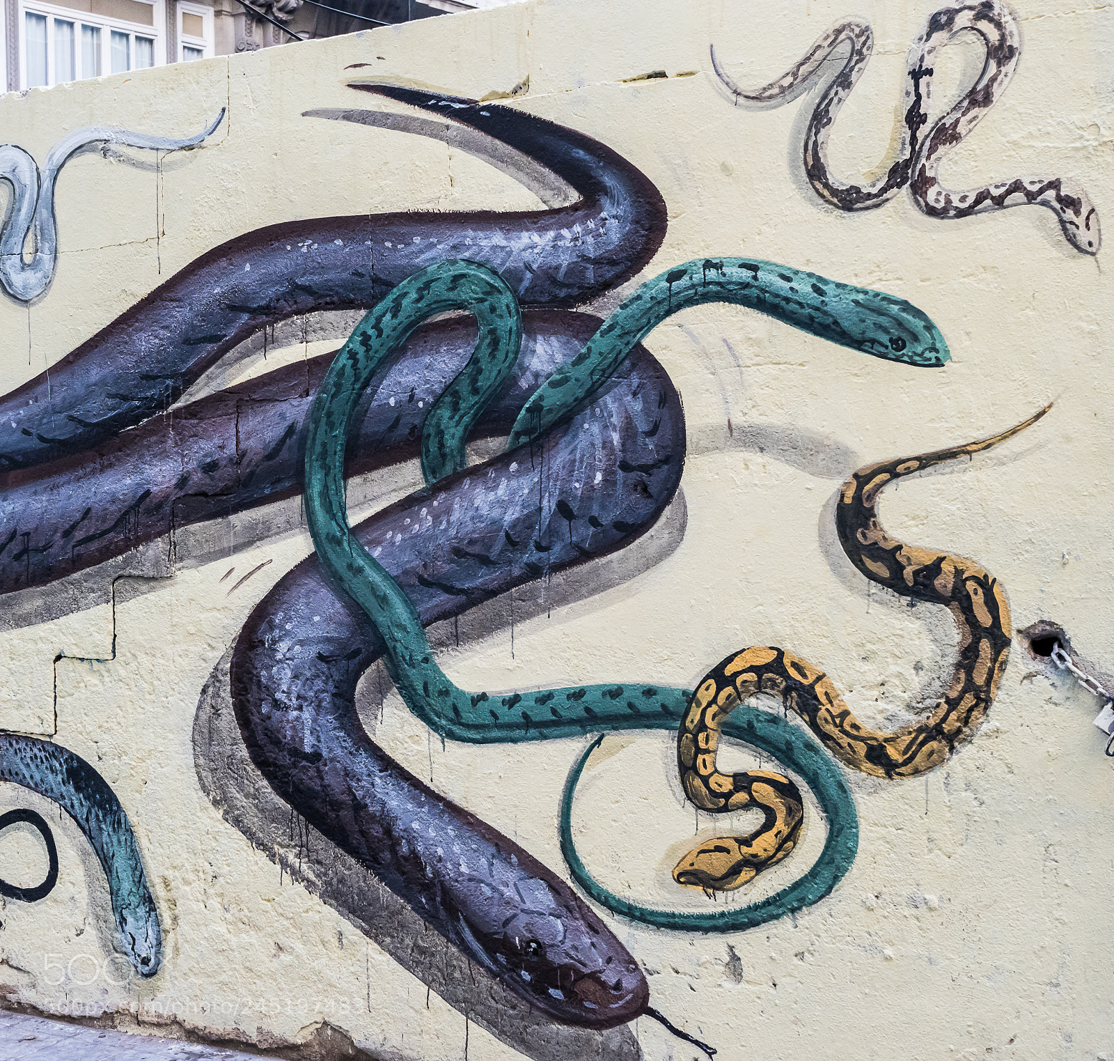 Olympus OM-D E-M1 Mark II sample photo. Olympus digital camera photography