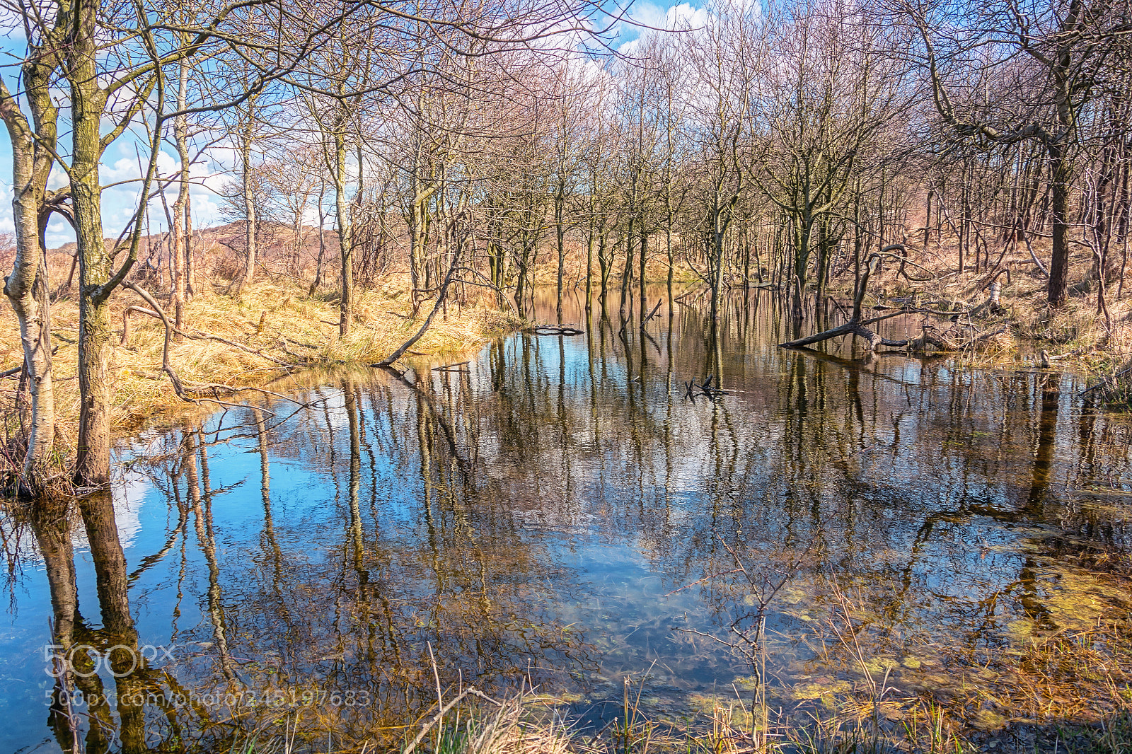 Nikon D7100 sample photo. Reflection photography