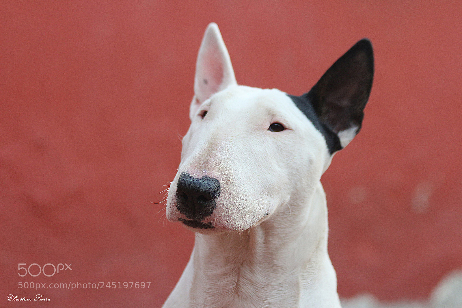 Canon EF 70-300mm F4-5.6 IS USM sample photo. Asia photography