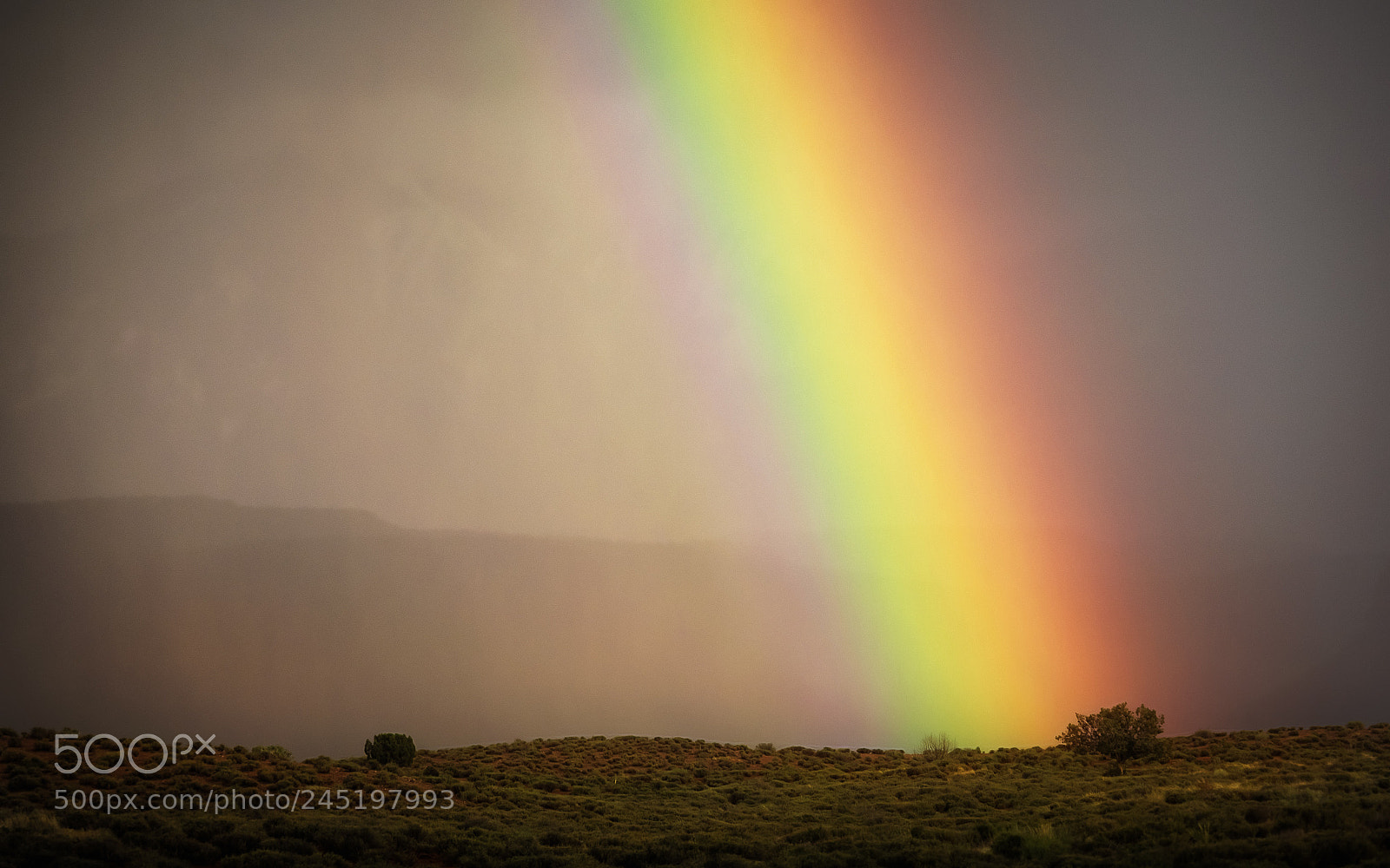Olympus OM-D E-M1 sample photo. Rainbow in professor valley photography