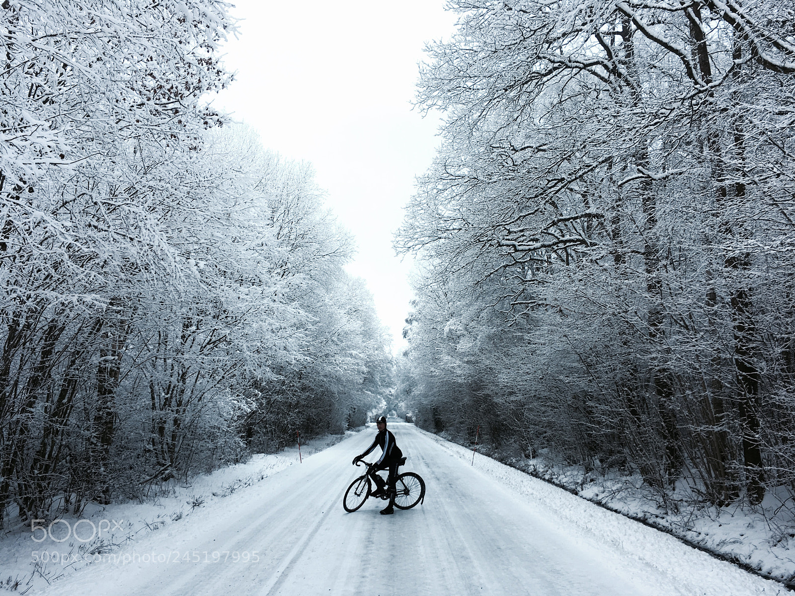 Apple iPhone SE sample photo. Winterbikeride on the island photography