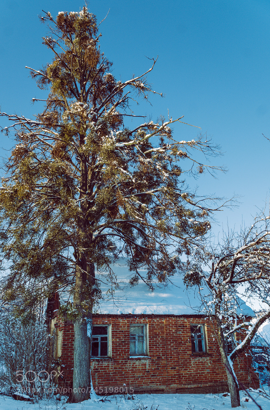 Sony a6300 sample photo. Ukrainan village photography
