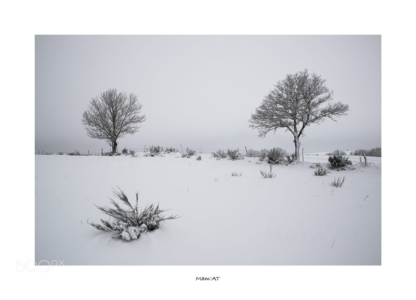 Canon EOS 6D Mark II sample photo. Trio photography
