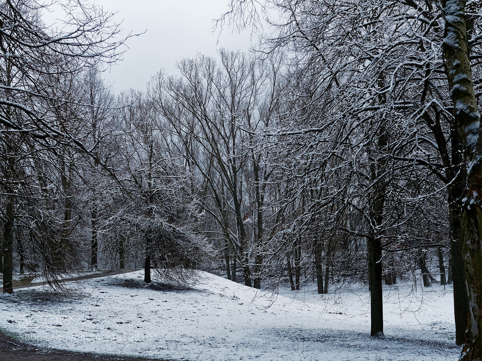 Olympus OM-D E-M5 sample photo. Bs-heidberg, es ist winter photography