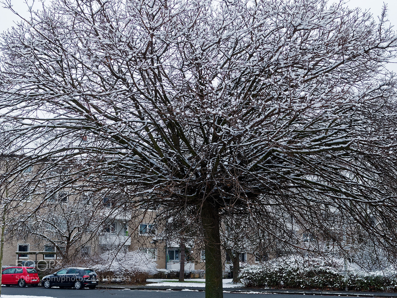 Olympus OM-D E-M5 sample photo. Bs-heidberg, es ist winter photography