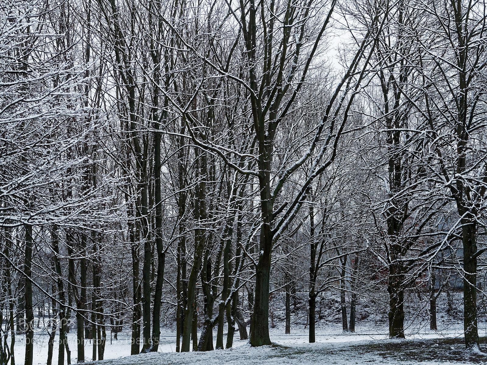 Olympus OM-D E-M5 sample photo. Bs-heidberg, es ist winter photography