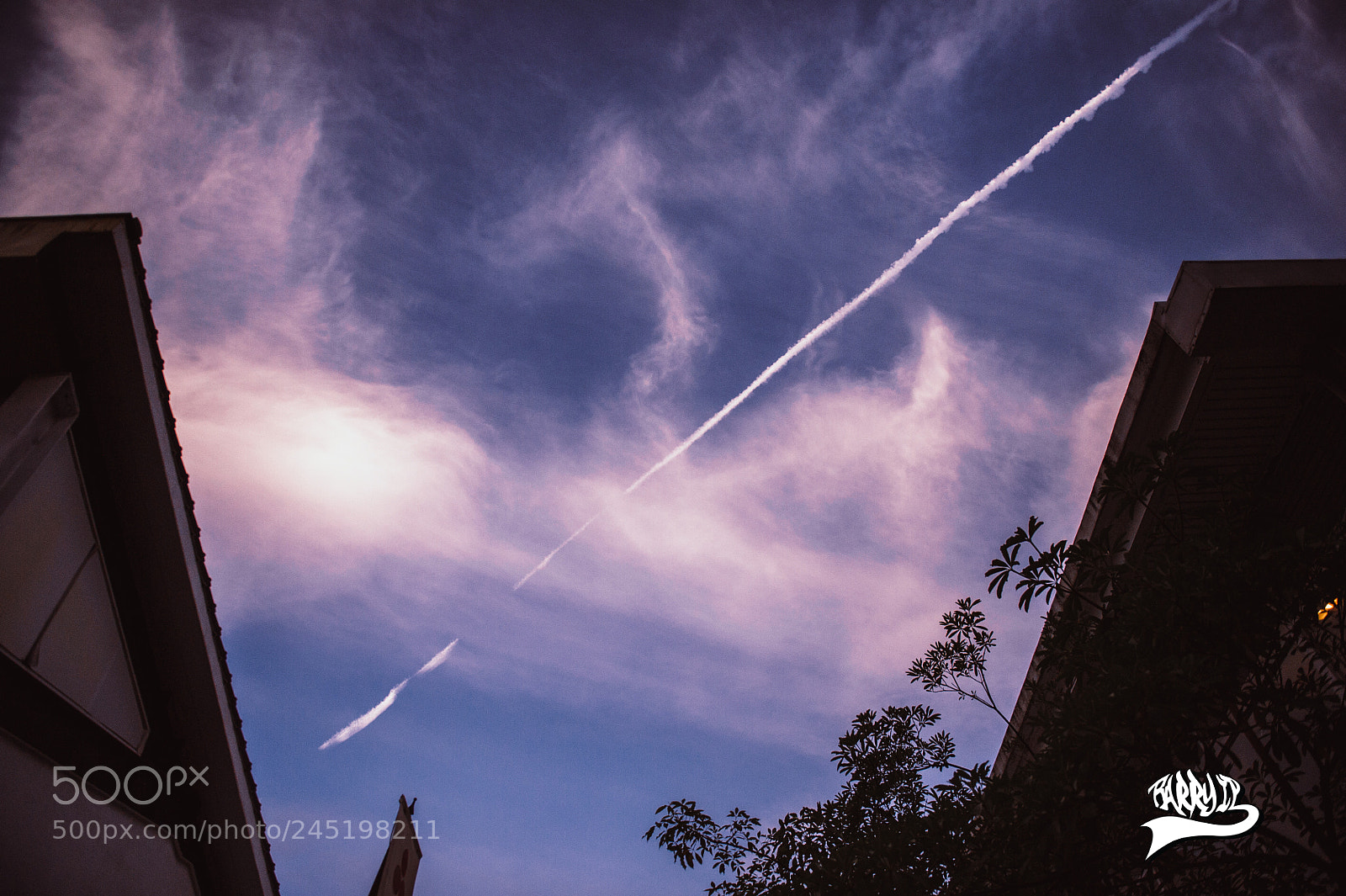 Nikon D3S sample photo. Focus photography