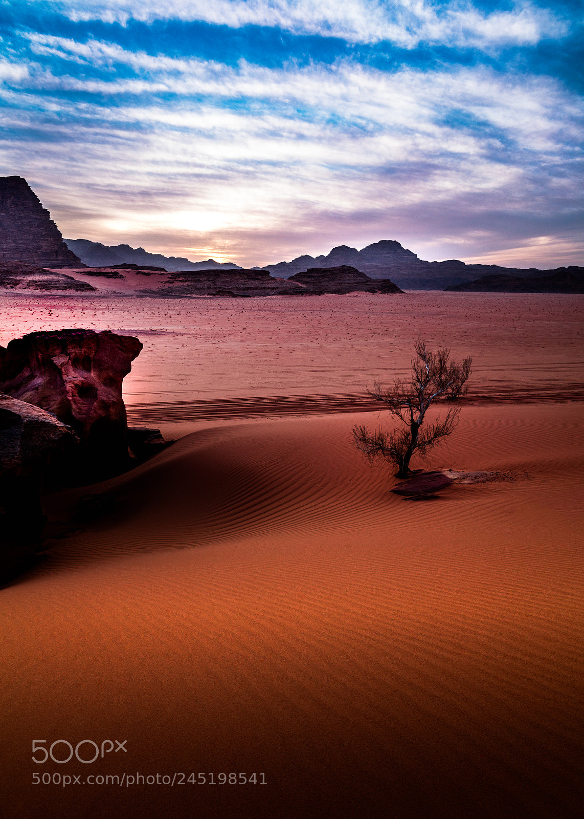 Canon EOS 5DS R sample photo. Rock, sand and shrub photography