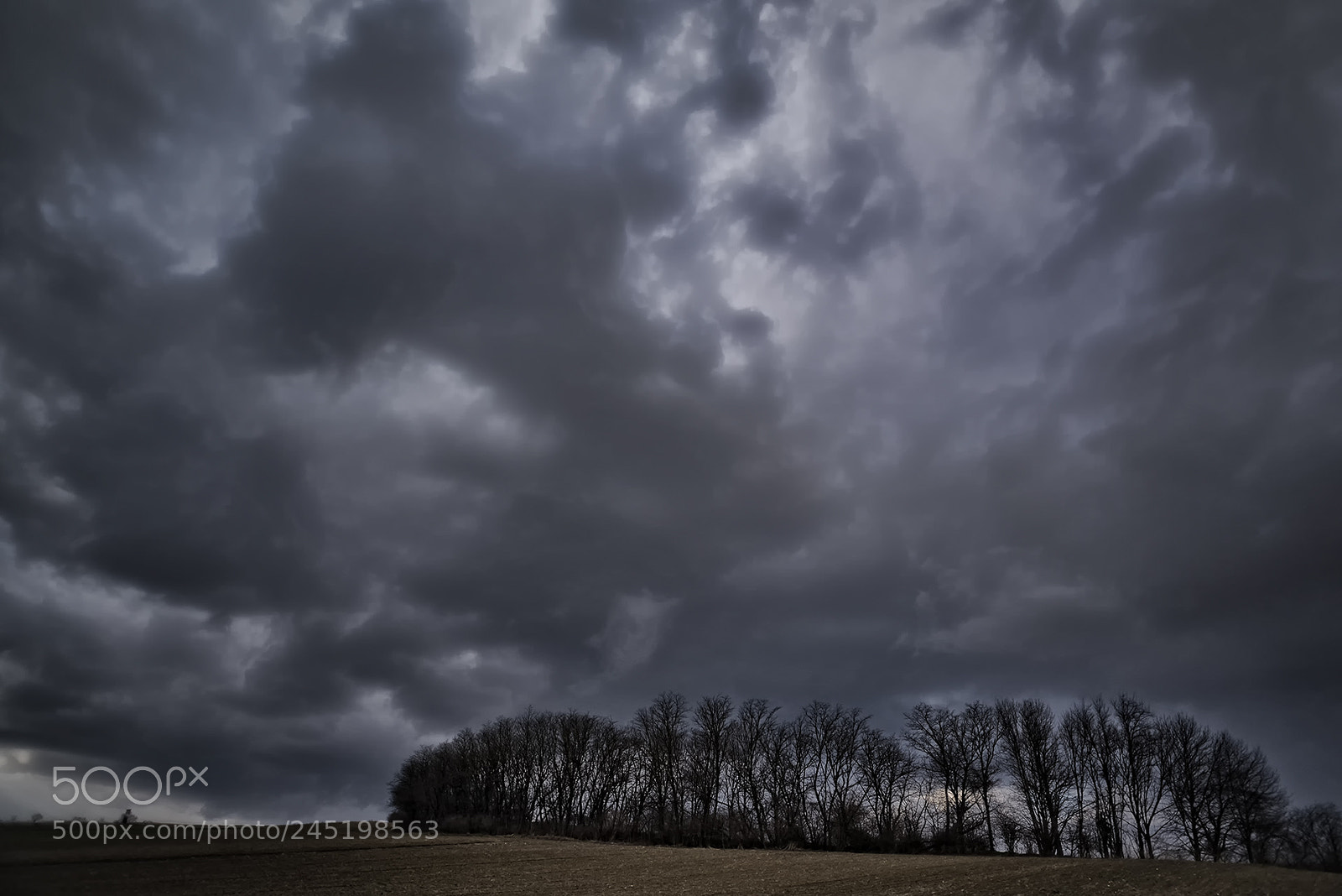 Nikon D810 sample photo. Big sky photography