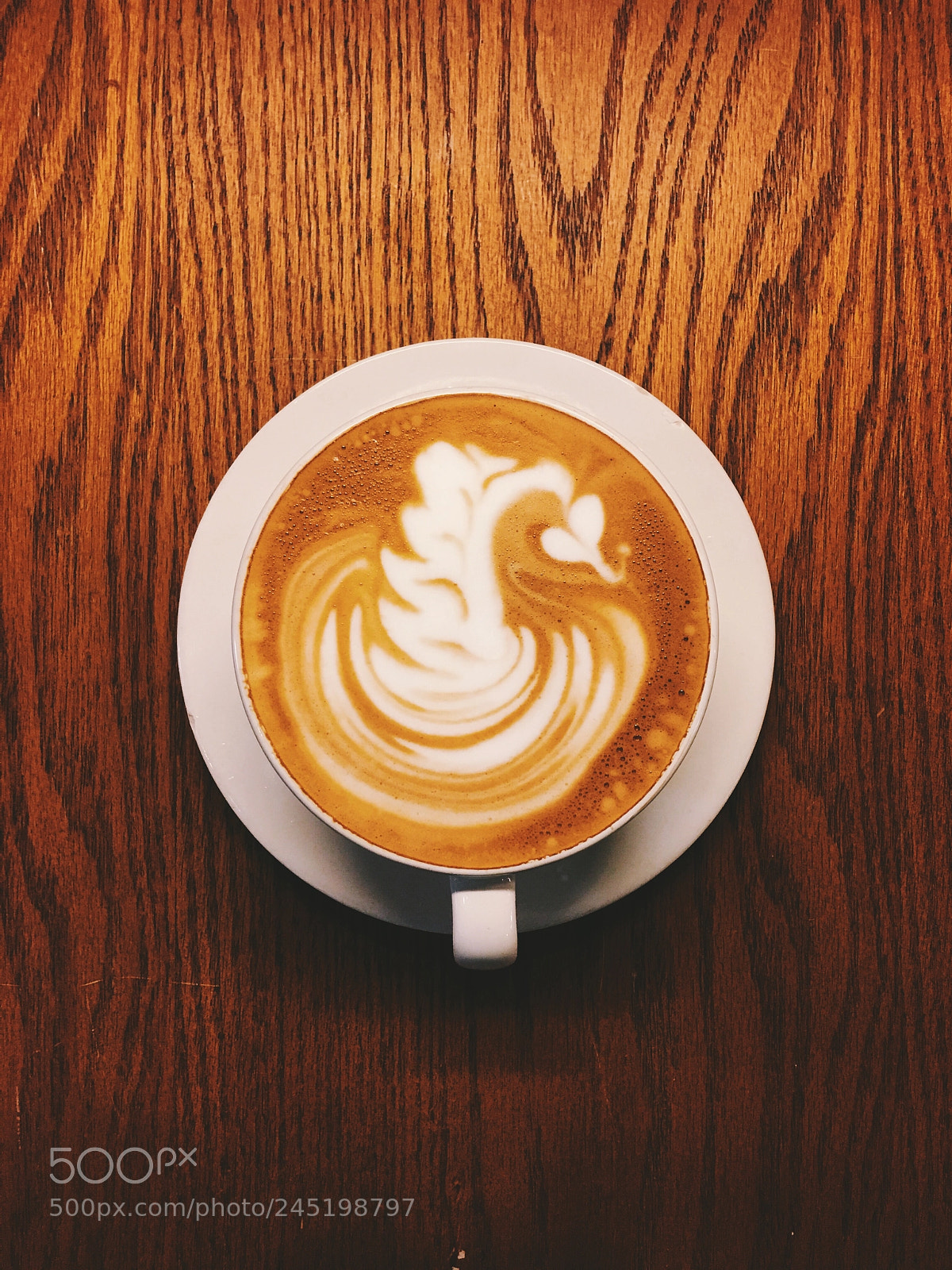 Apple iPhone 6s Plus sample photo. A old swan i photography