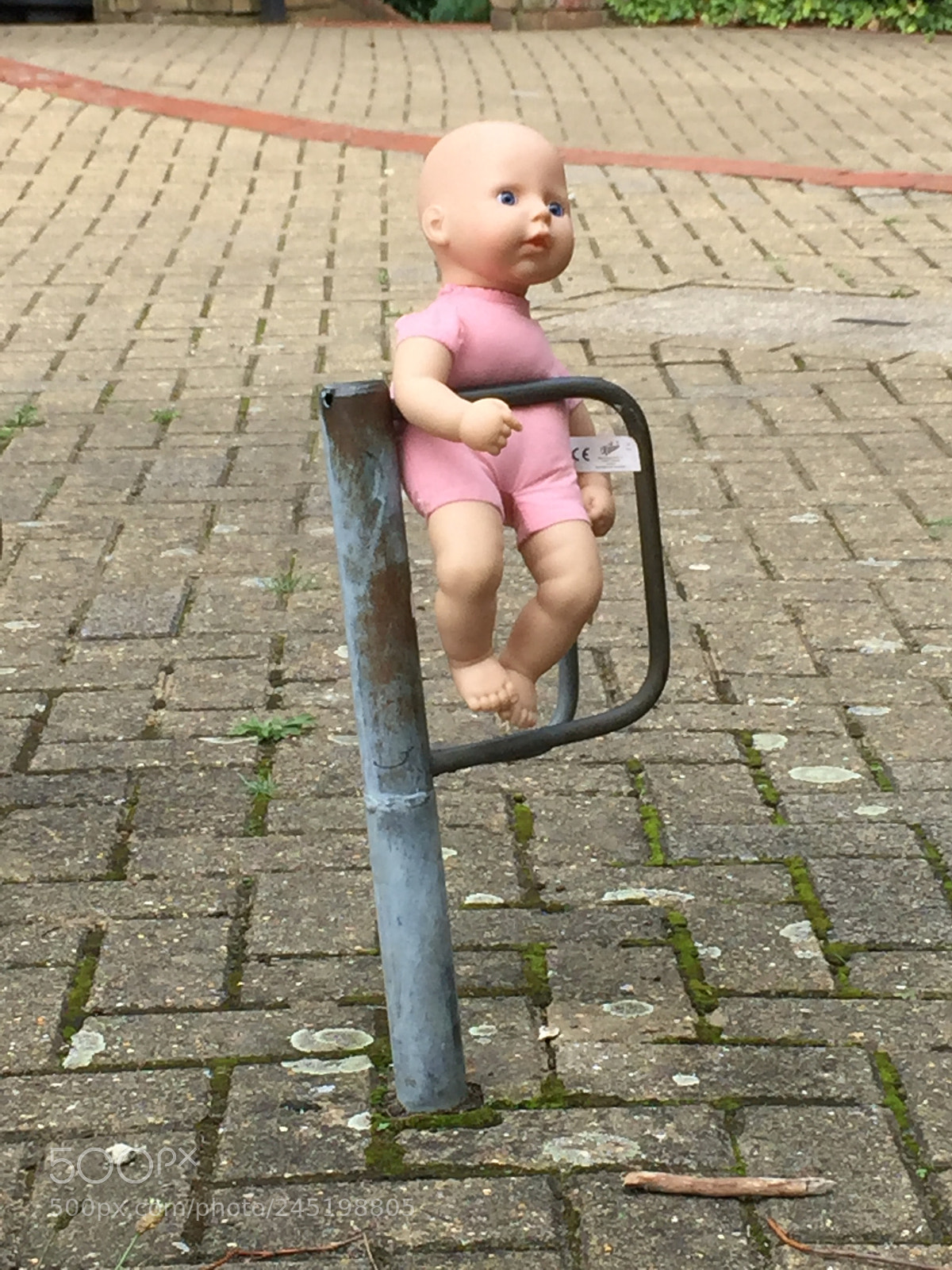 Apple iPhone 6 Plus sample photo. Untitled photography