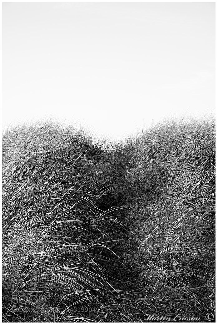 Fujifilm X-T20 sample photo. Dunes of apelviken. photography