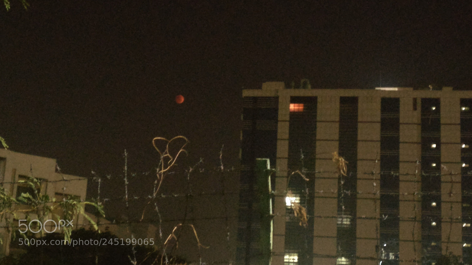 OnePlus A3003 sample photo. Blood moon photography