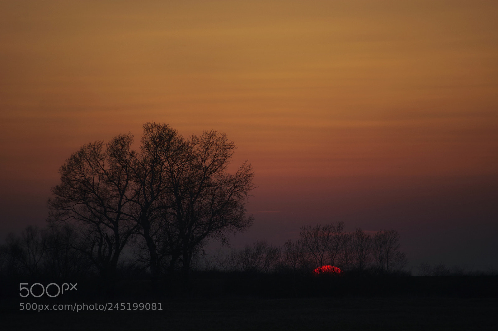 Nikon D7100 sample photo. Sunset photography