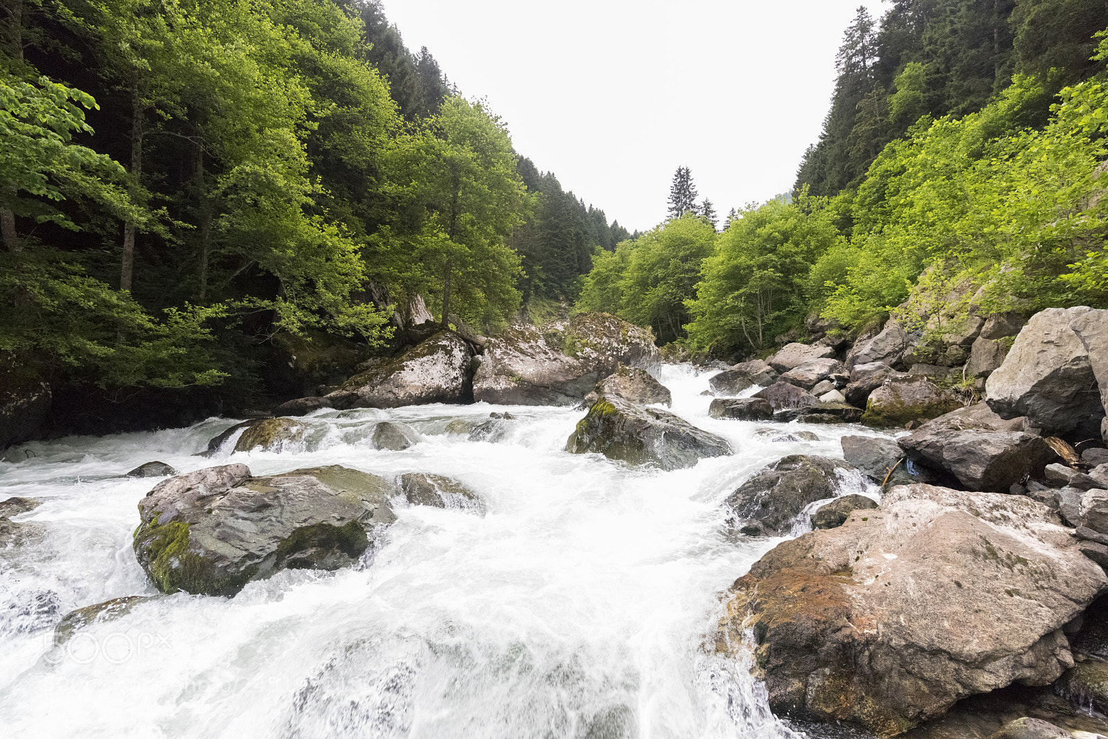 Nikon D810 sample photo. Stream photography