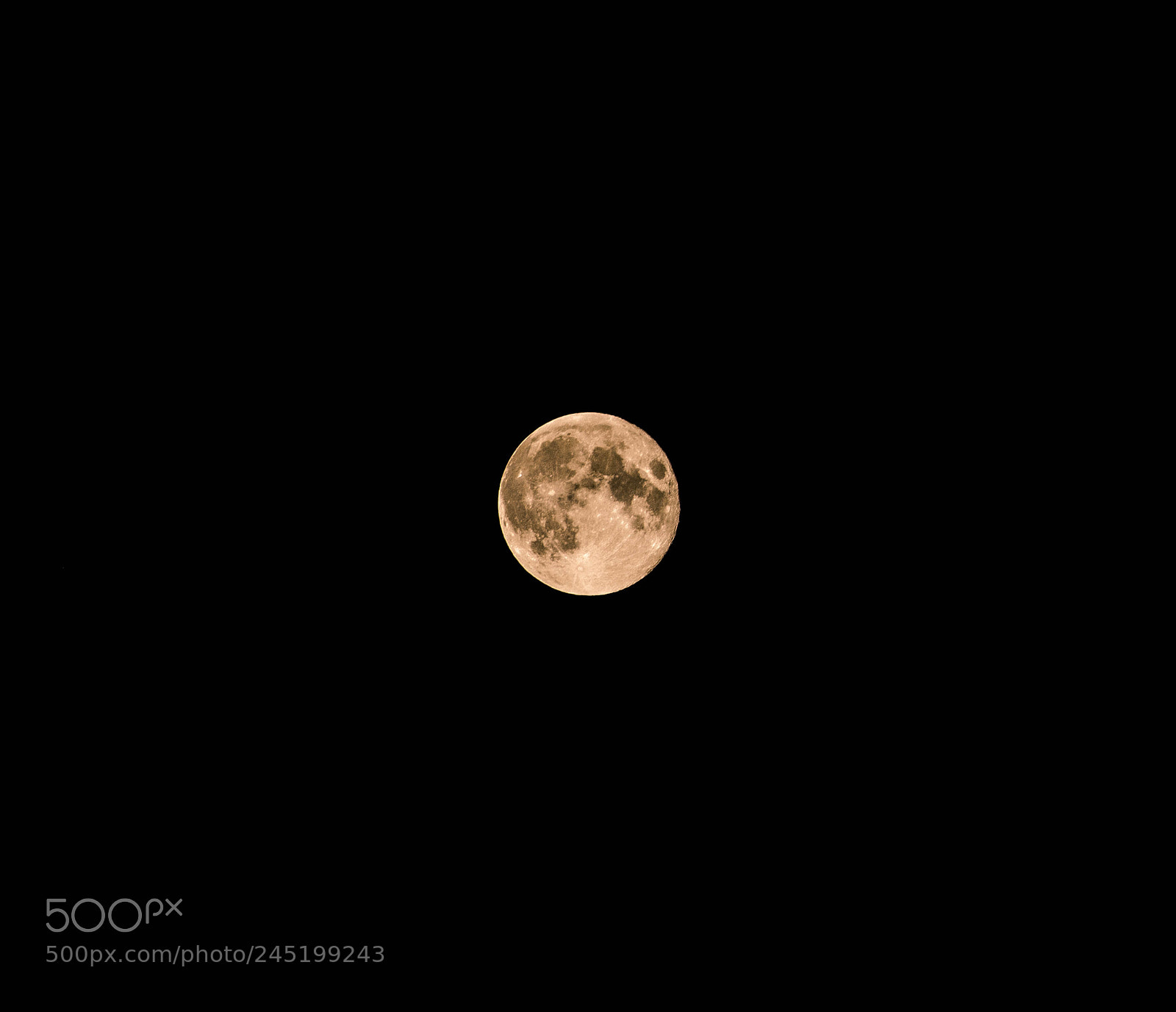 Canon EOS 550D (EOS Rebel T2i / EOS Kiss X4) sample photo. Full moon photography