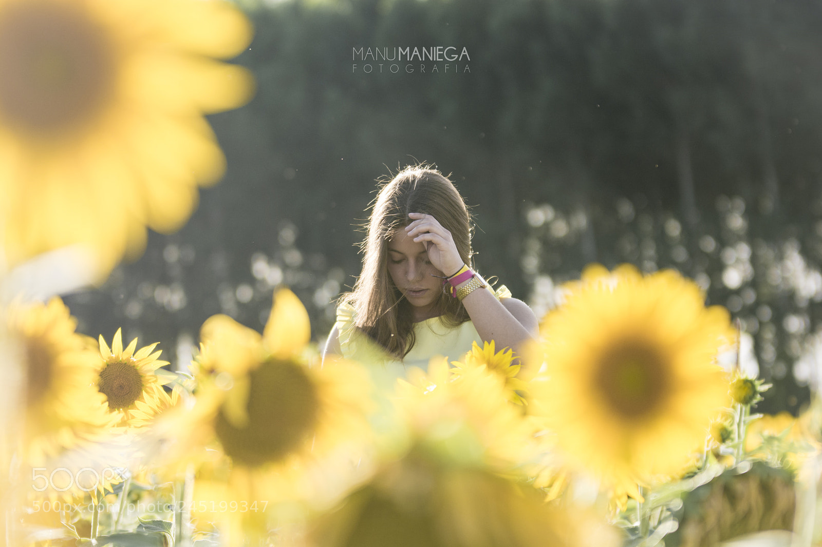 Nikon D7100 sample photo. Yellow photography