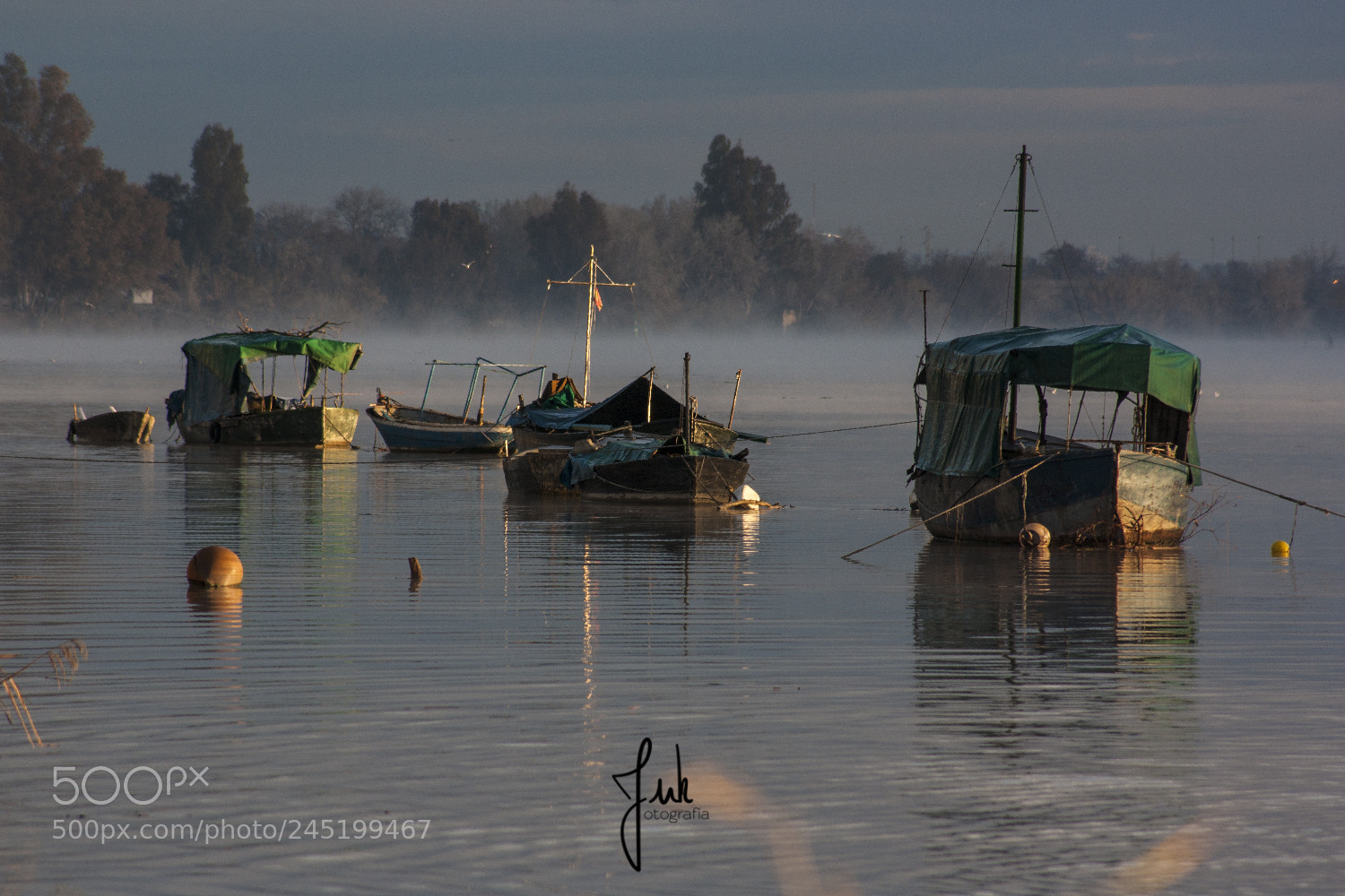 Canon EOS 1000D (EOS Digital Rebel XS / EOS Kiss F) sample photo. Cinco botes photography