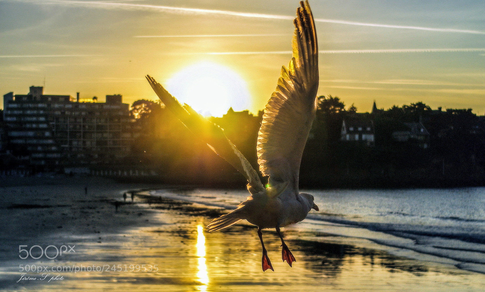 Pentax K10D sample photo. Le sunset du go photography