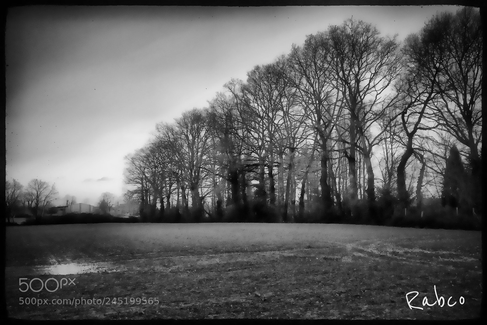 Apple iPhone 6 sample photo. Winter light... photography