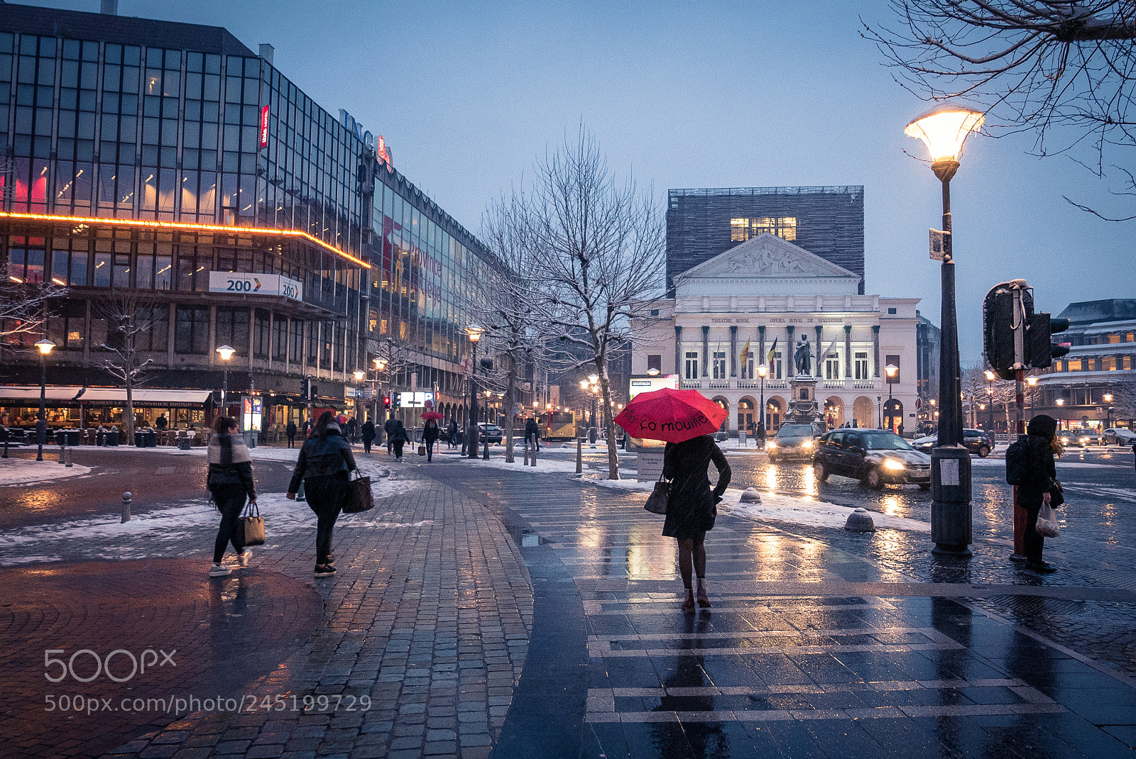 Panasonic Lumix DMC-LX100 sample photo. Wet under the snow photography