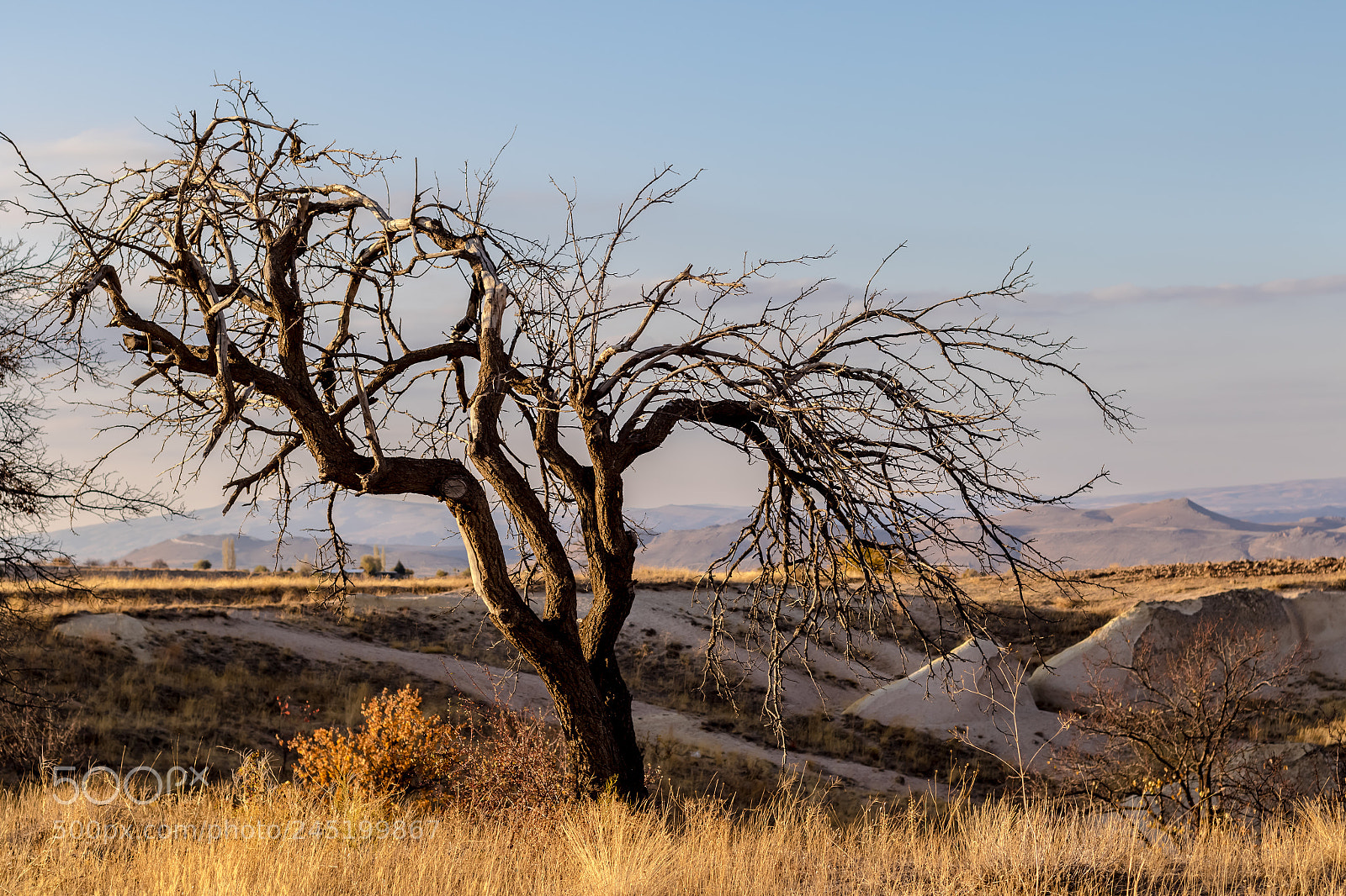 Canon EOS 7D Mark II sample photo. Surreal world photography