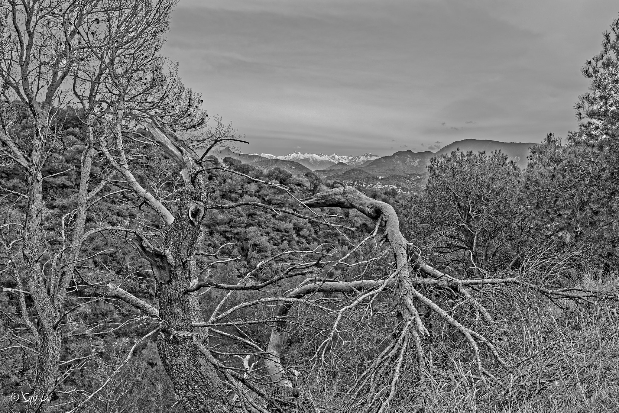 Tamron SP 15-30mm F2.8 Di VC USD sample photo. Au loin les montagnes des alpes du sud.in the distance, snow-capped mountains of south of alpes. photography