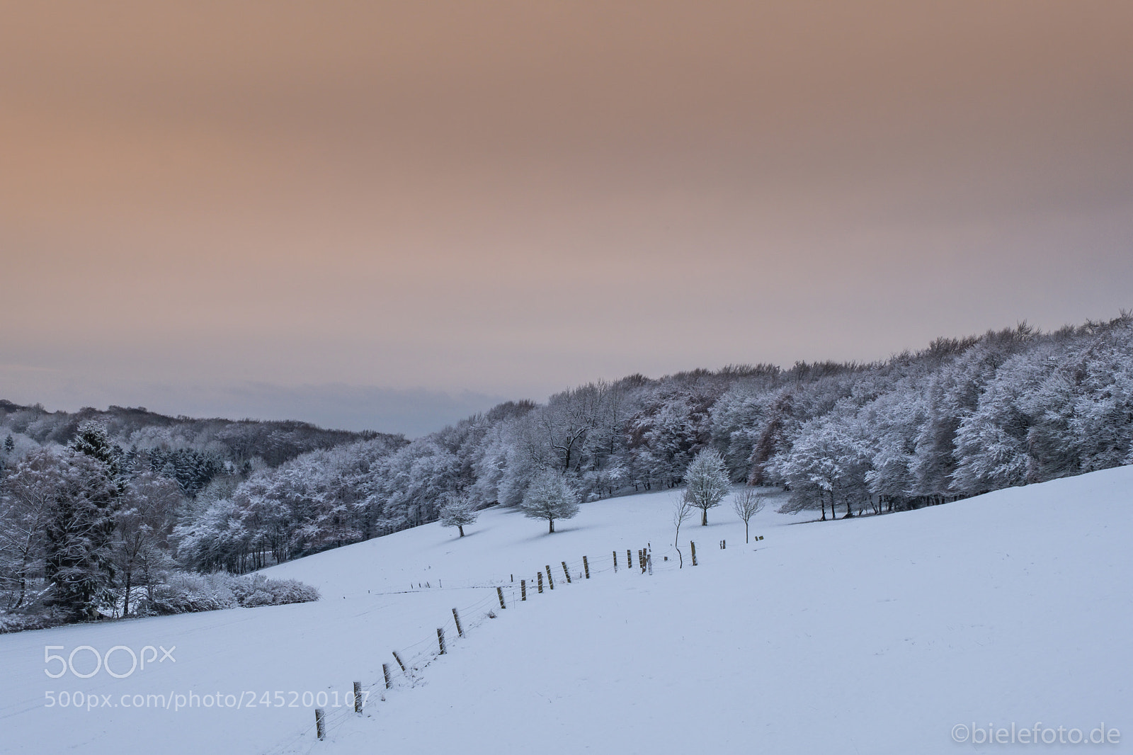 Fujifilm X-T20 sample photo. Winter wonderland photography