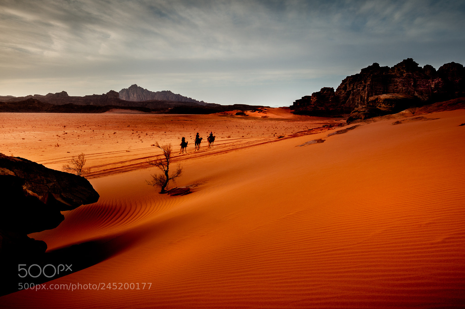 Canon EOS 5DS R sample photo. Tourist and lots of photography