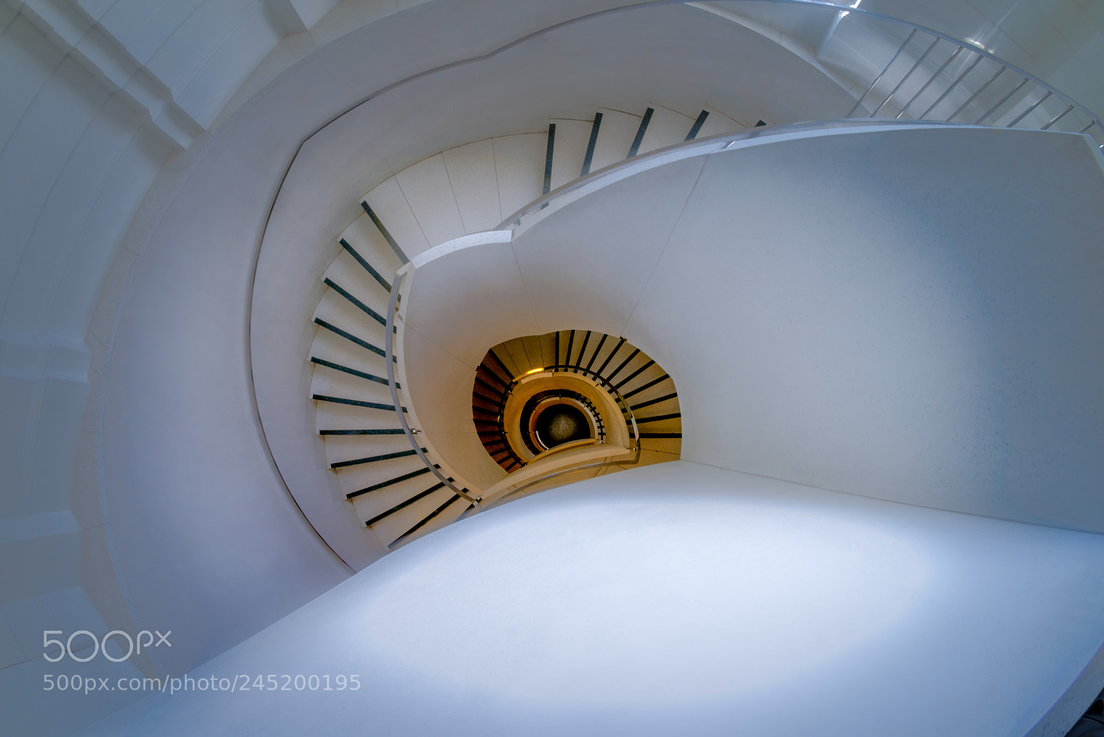 Nikon D810 sample photo. The path of least photography
