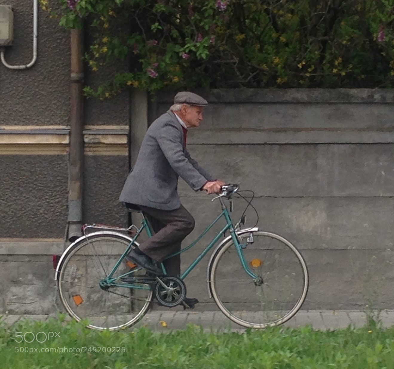 Apple iPhone 5 sample photo. Avi en bicicleta photography
