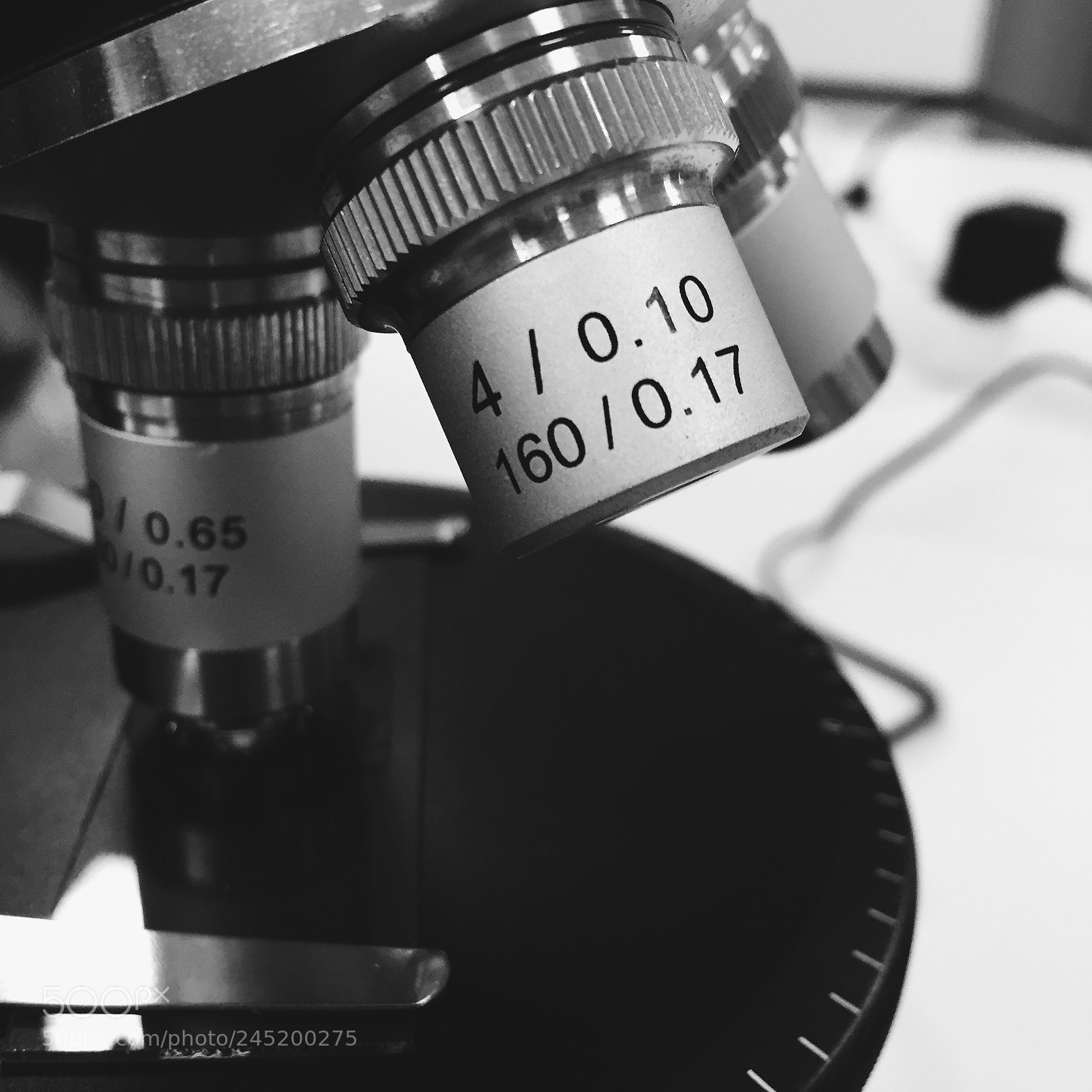 Apple iPhone 6 sample photo. Microscope photography