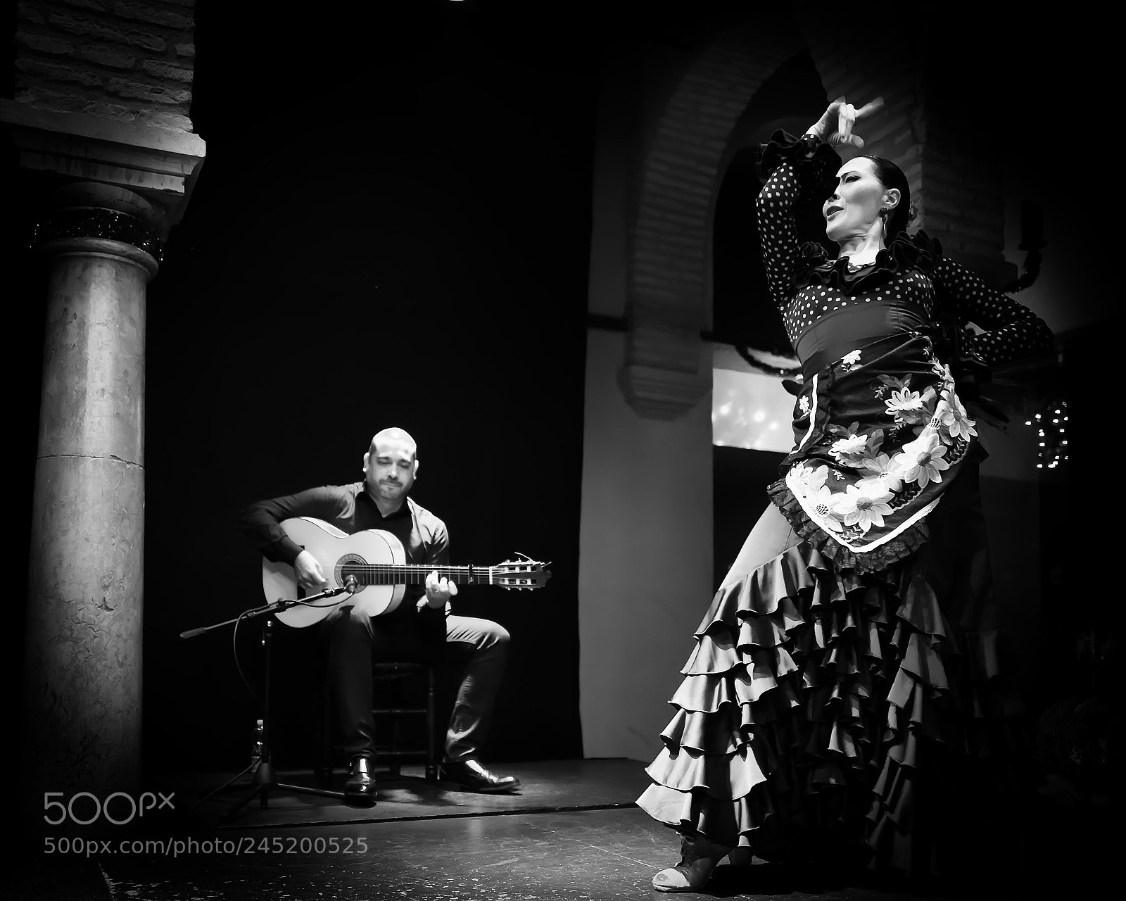 Leica Q (Typ 116) sample photo. Flamenco photography