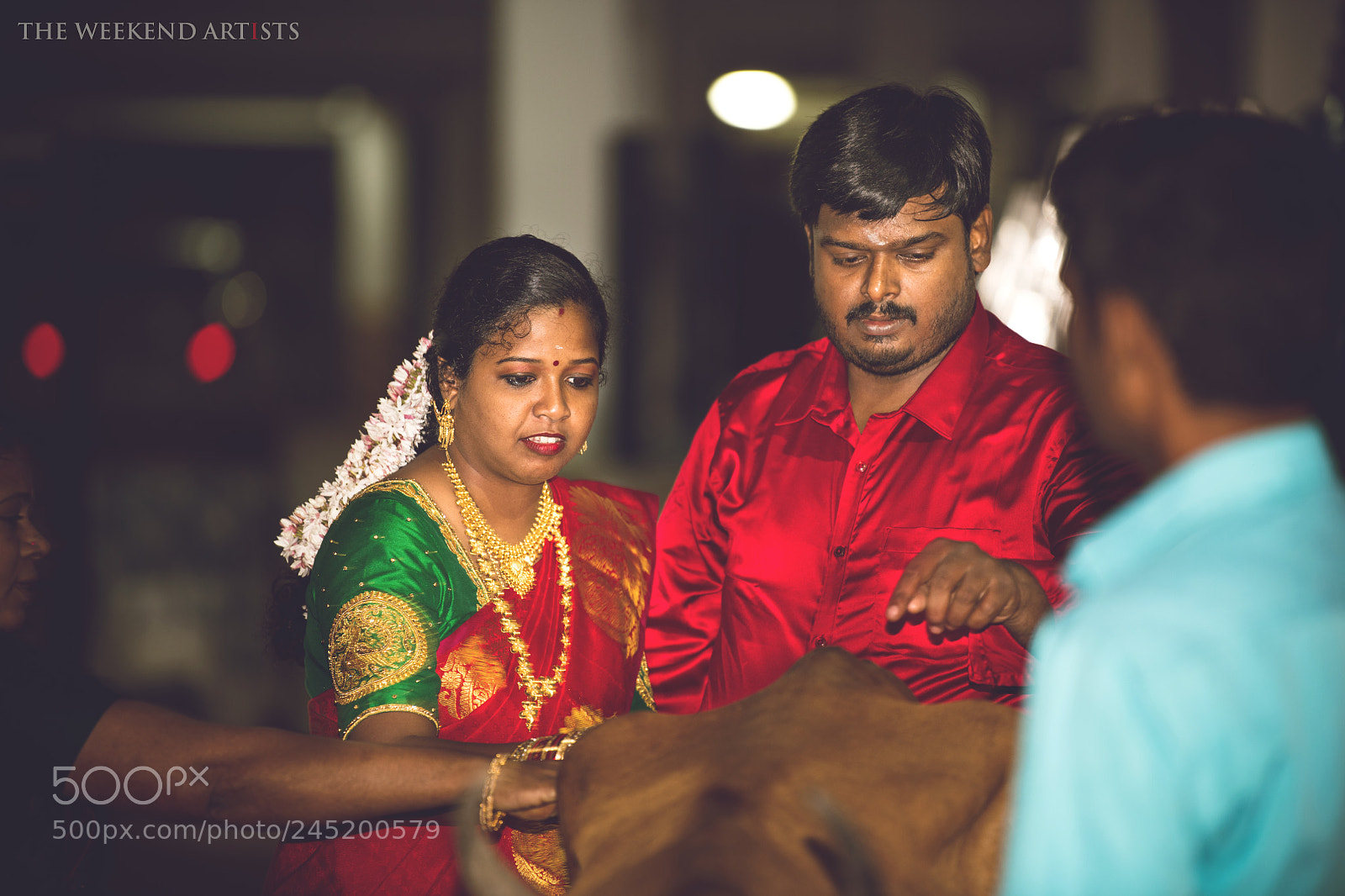 Nikon D850 sample photo. Untitled photography