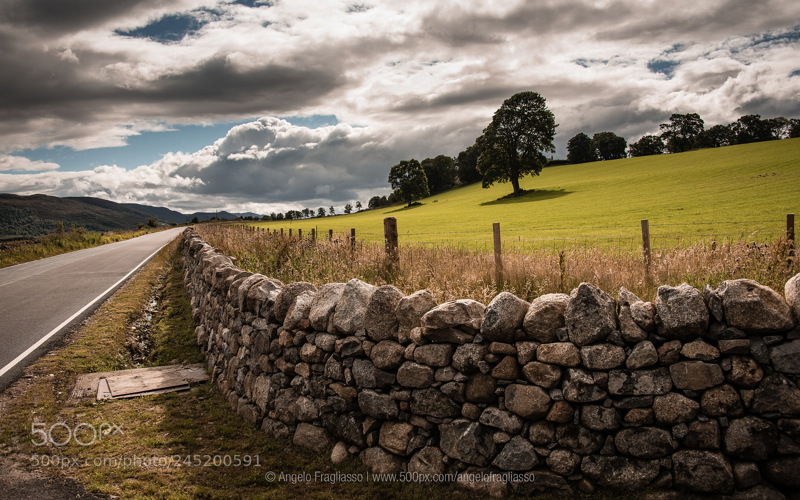 Nikon D800 sample photo. Celtic wall photography