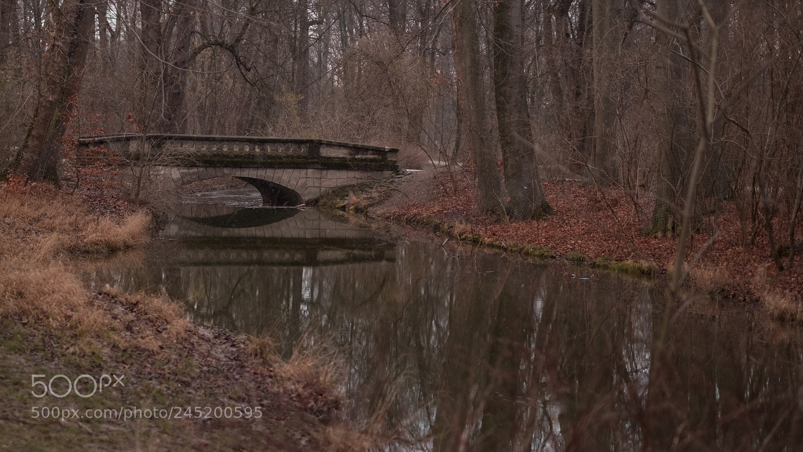 Fujifilm X-T20 sample photo. Reflections photography
