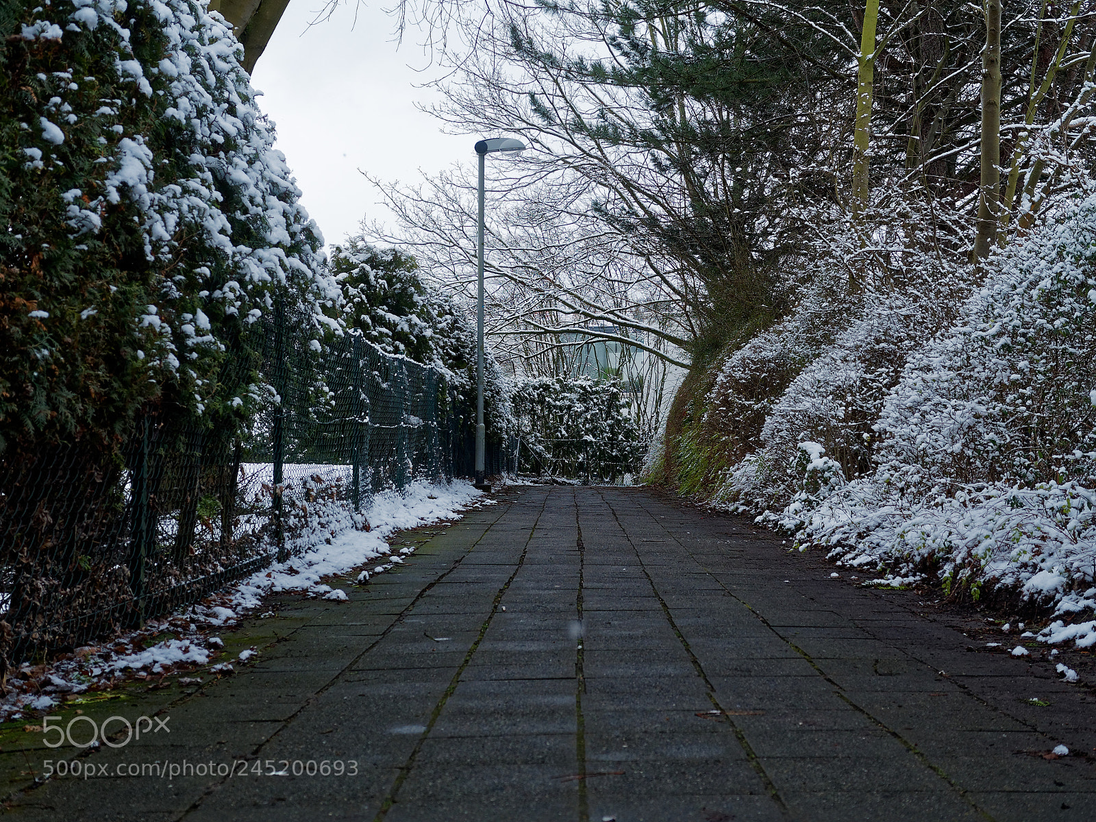 Olympus OM-D E-M5 sample photo. Bs-heidberg, winter photography