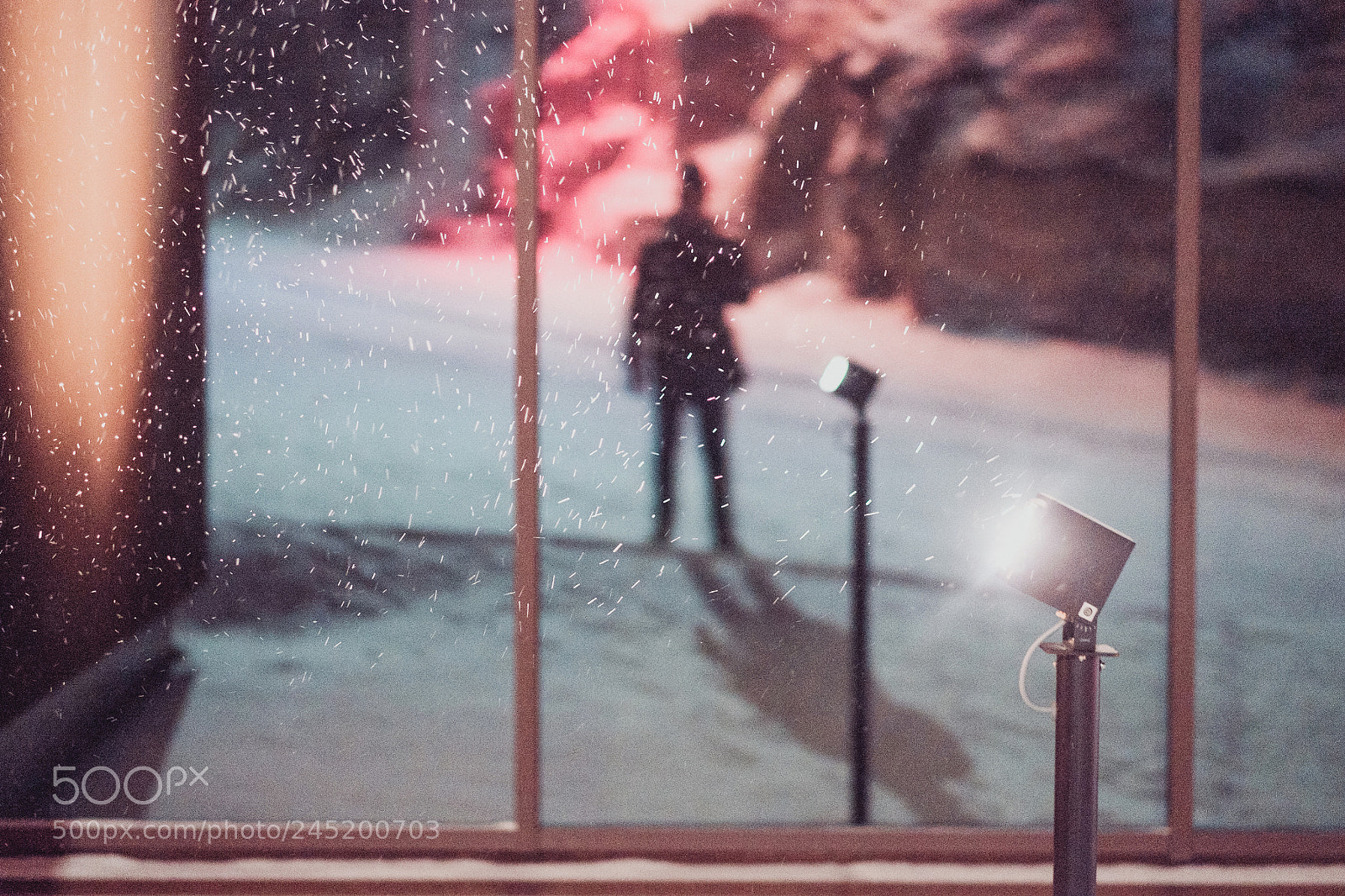Fujifilm X-T1 sample photo. The obligatory nightly snowfall photography