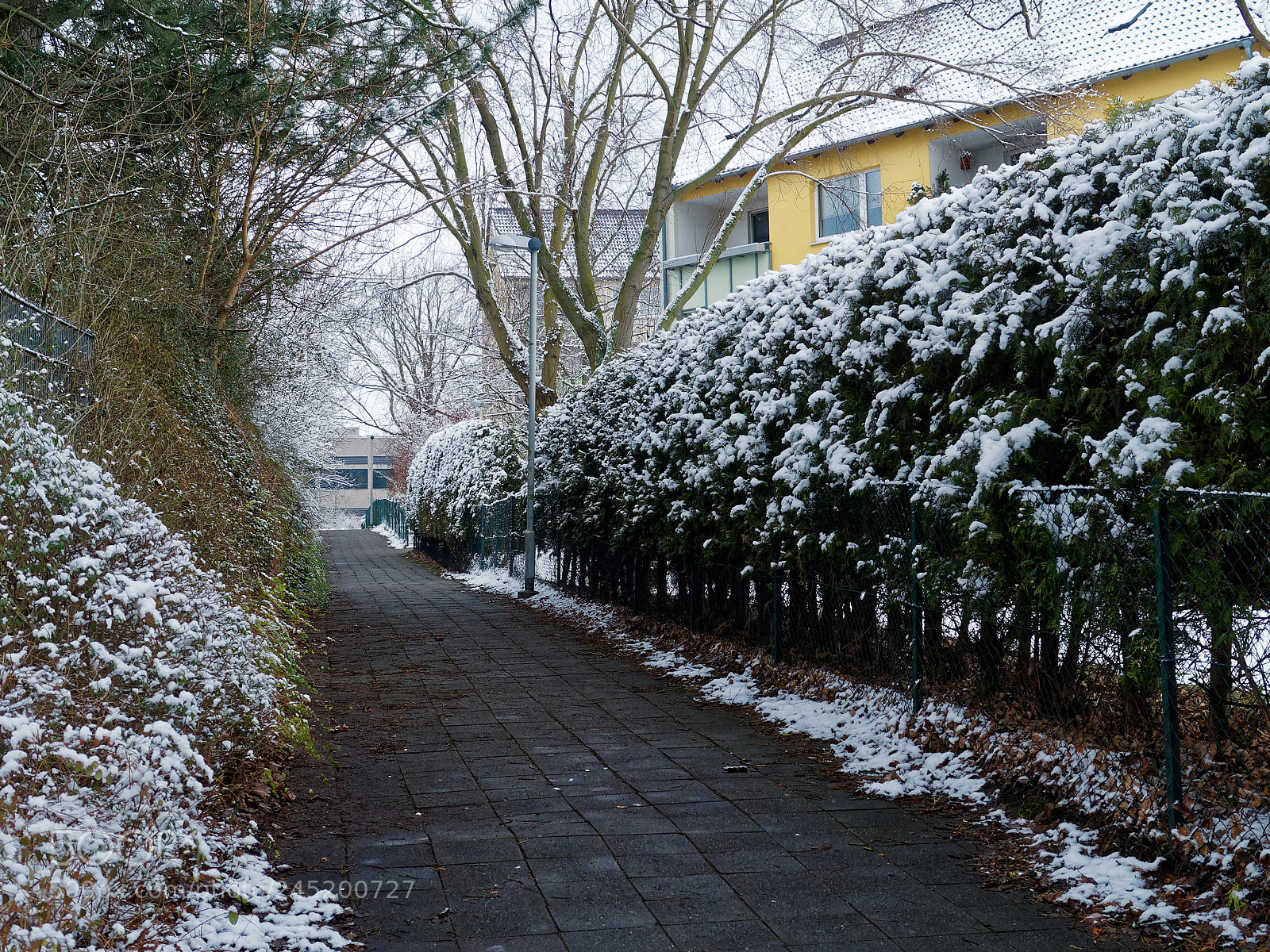 Olympus OM-D E-M5 sample photo. Bs-heidberg, winter photography